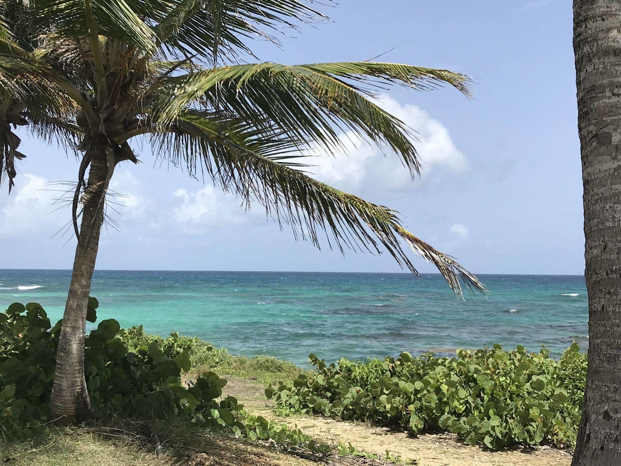 Ti.Maanga Vue Mer Pieds Dans L'Eau Saint-Francois (Grande-Terre) Exterior foto