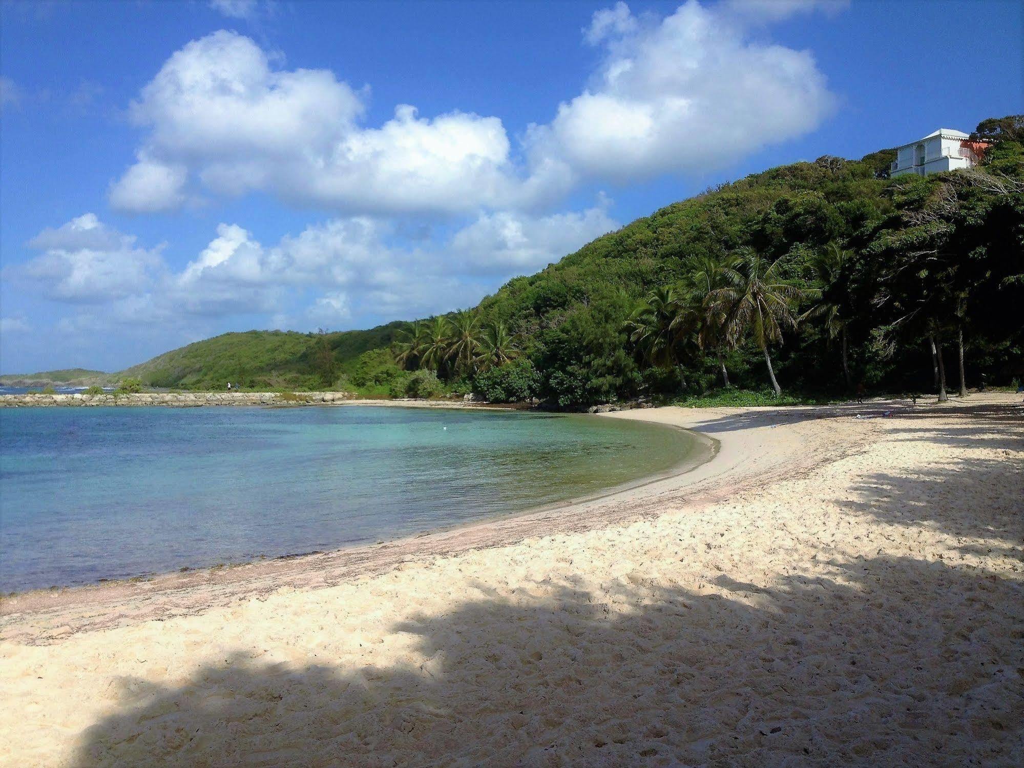 Ti.Maanga Vue Mer Pieds Dans L'Eau Saint-Francois (Grande-Terre) Exterior foto