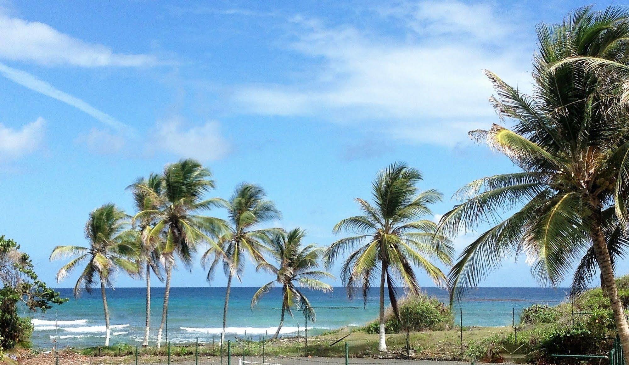Ti.Maanga Vue Mer Pieds Dans L'Eau Saint-Francois (Grande-Terre) Exterior foto