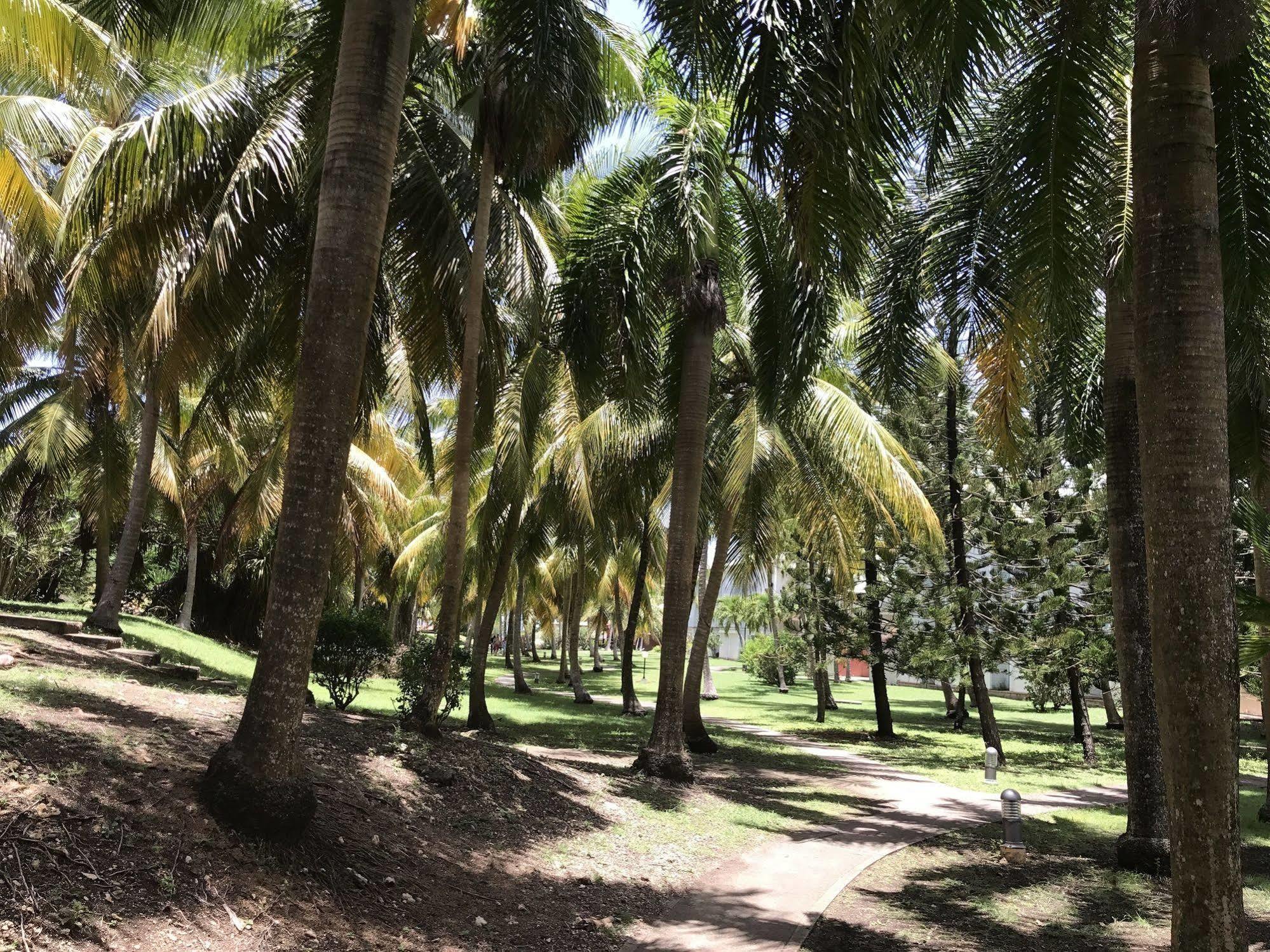 Ti.Maanga Vue Mer Pieds Dans L'Eau Saint-Francois (Grande-Terre) Exterior foto