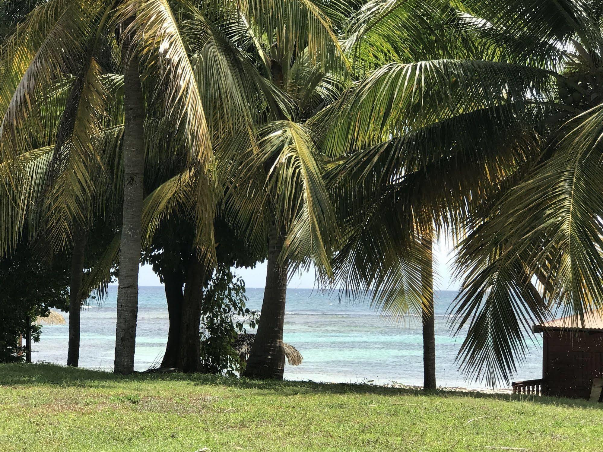 Ti.Maanga Vue Mer Pieds Dans L'Eau Saint-Francois (Grande-Terre) Exterior foto