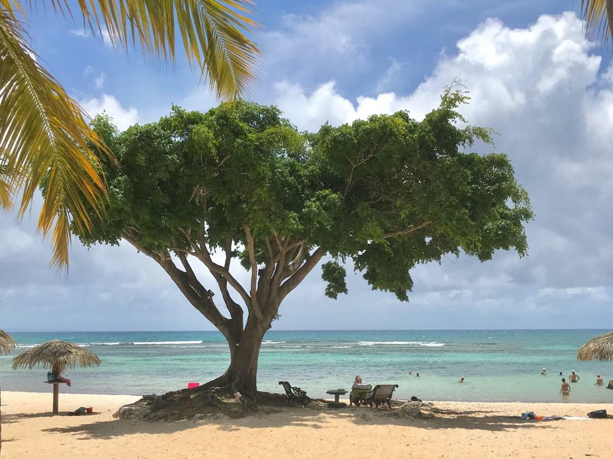 Ti.Maanga Vue Mer Pieds Dans L'Eau Saint-Francois (Grande-Terre) Exterior foto